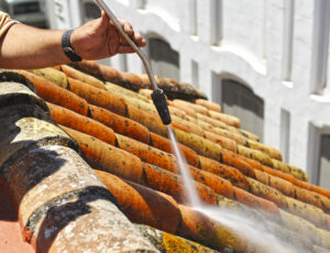 Roof cleaning